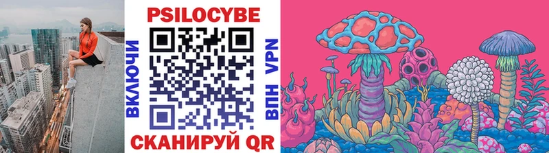 Купить где  Саров  Галлюциногенные грибы Psilocybe 