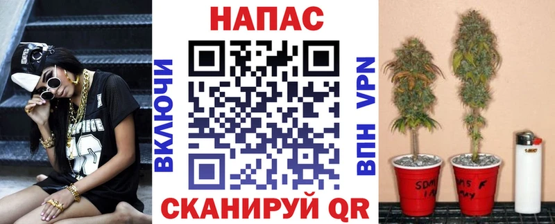 Купить закладки  Саров  Канабис White Widow 